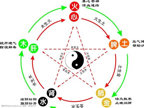 土木火金水|为什么人们说五行时的常用的顺序是“金、木、水、火。